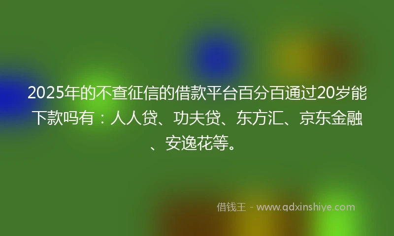 2025年的不查征信的借款平台百分百通过20岁能下款吗有：人人贷、功夫贷、东方汇、京东金融、安逸花等。