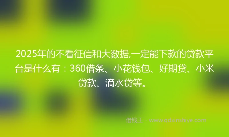 2025年的不看征信和大数据,一定能下款的贷款平台是什么有：360借条、小花钱包、好期贷、小米贷款、滴水贷等。