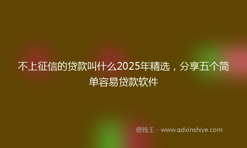 不上征信的贷款叫什么2025年精选，分享五个简单容易贷款软件