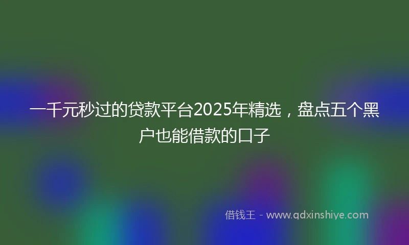 一千元秒过的贷款平台2025年精选，盘点五个黑户也能借款的口子