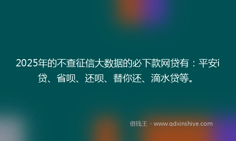 2025年的不查征信大数据的必下款网贷有：平安i贷、省呗、还呗、替你还、滴水贷等。