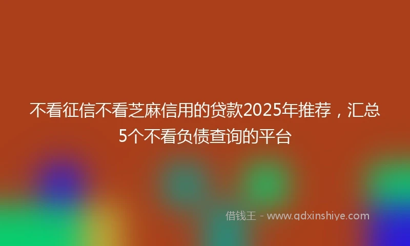 不看征信不看芝麻信用的贷款2025年推荐，汇总5个不看负债查询的平台