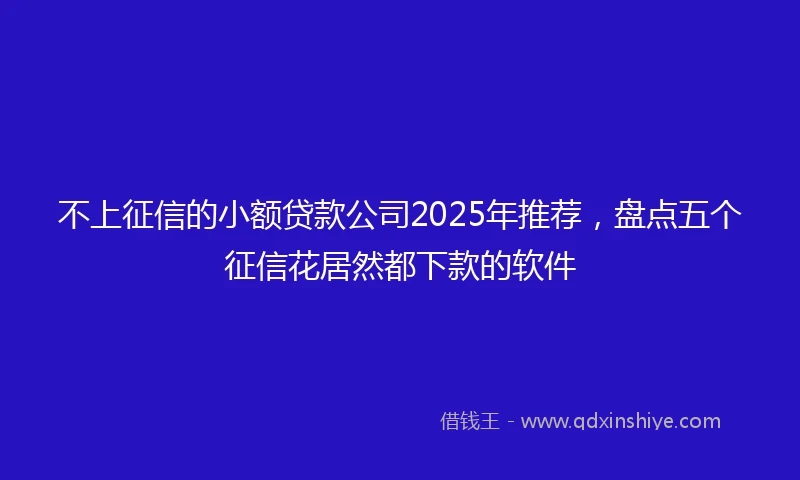 不上征信的小额贷款公司2025年推荐，盘点五个征信花居然都下款的软件