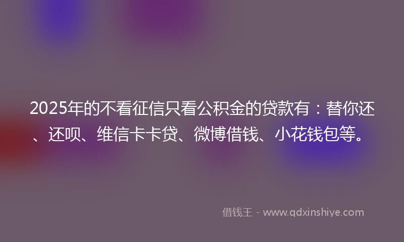 2025年的不看征信只看公积金的贷款有：替你还、还呗、维信卡卡贷、微博借钱、小花钱包等。