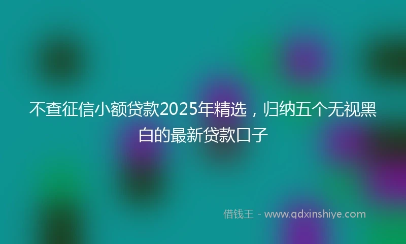 不查征信小额贷款2025年精选，归纳五个无视黑白的最新贷款口子