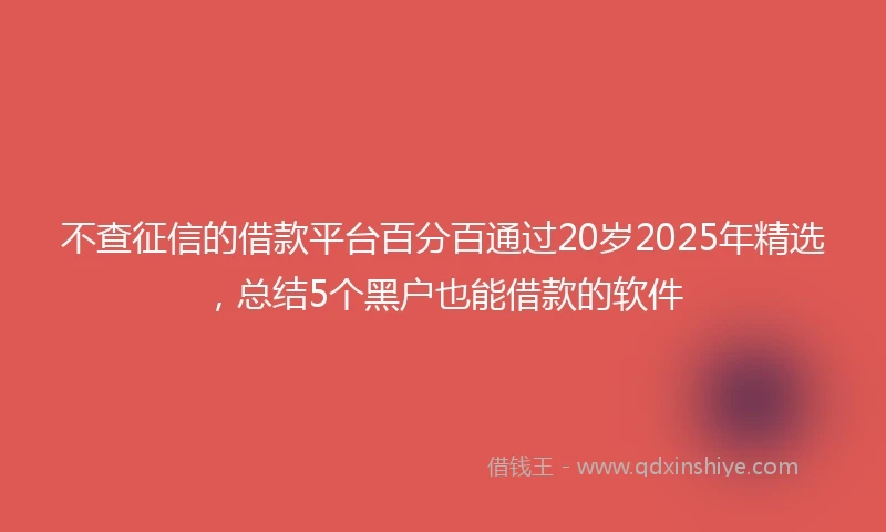 不查征信的借款平台百分百通过20岁2025年精选，总结5个黑户也能借款的软件