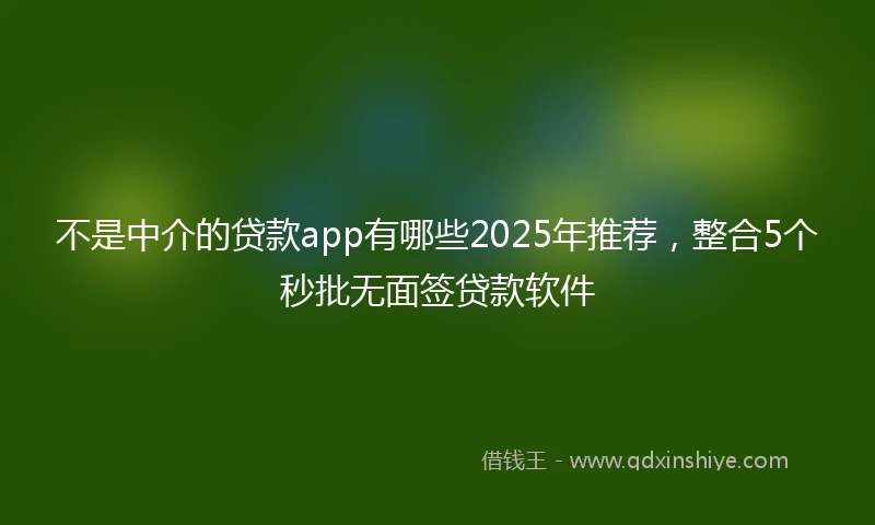 不是中介的贷款app有哪些2025年推荐，整合5个秒批无面签贷款软件