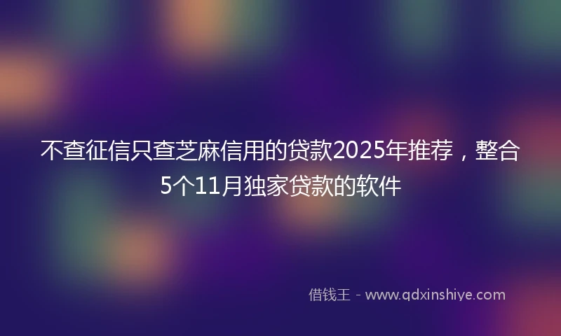 不查征信只查芝麻信用的贷款2025年推荐，整合5个11月独家贷款的软件