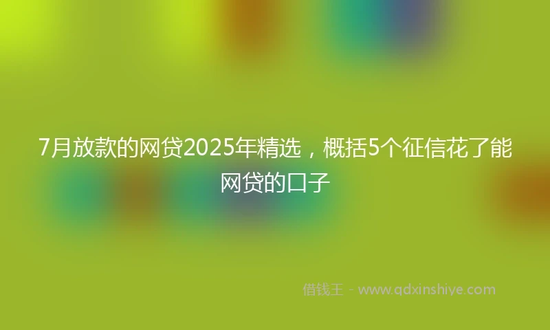 7月放款的网贷2025年精选，概括5个征信花了能网贷的口子