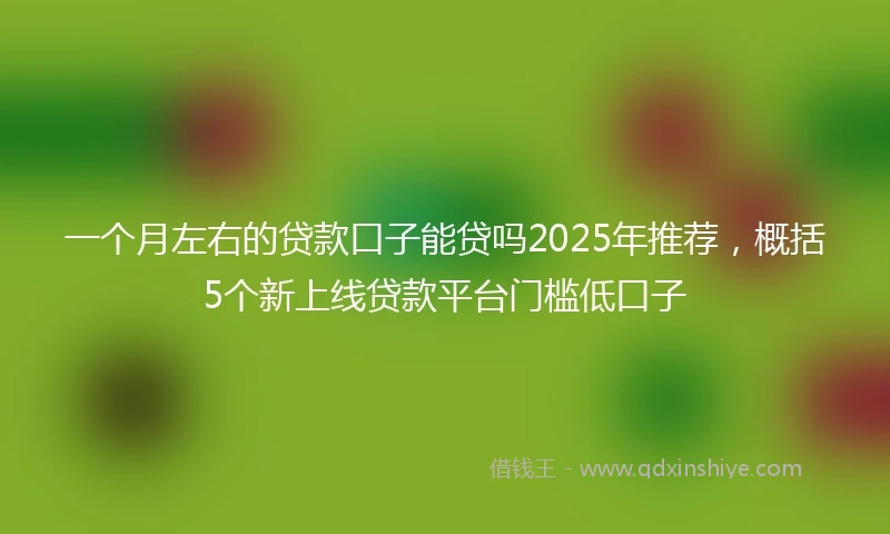一个月左右的贷款口子能贷吗2025年推荐，概括5个新上线贷款平台门槛低口子