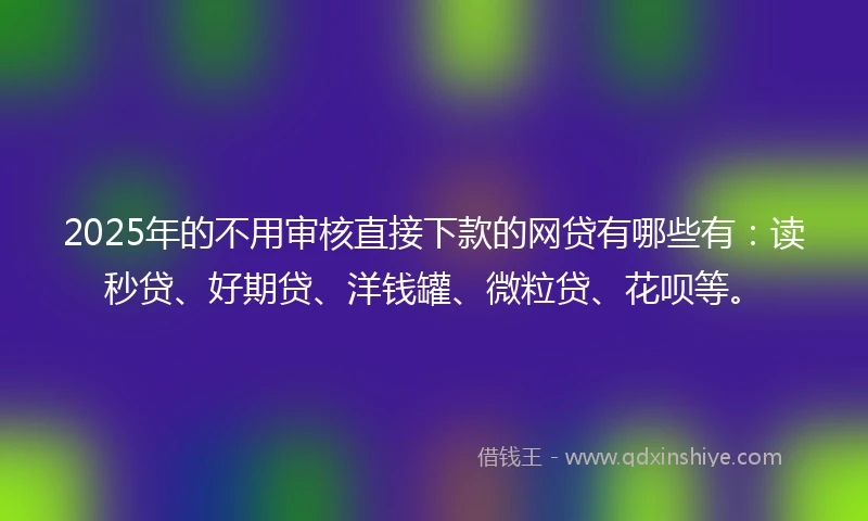 2025年的不用审核直接下款的网贷有哪些有：读秒贷、好期贷、洋钱罐、微粒贷、花呗等。