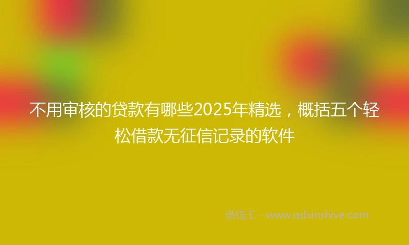 不用审核的贷款有哪些2025年精选，概括五个轻松借款无征信记录的软件
