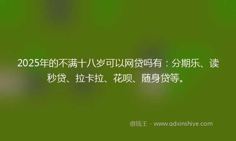 2025年的不满十八岁可以网贷吗有：分期乐、读秒贷、拉卡拉、花呗、随身贷等。