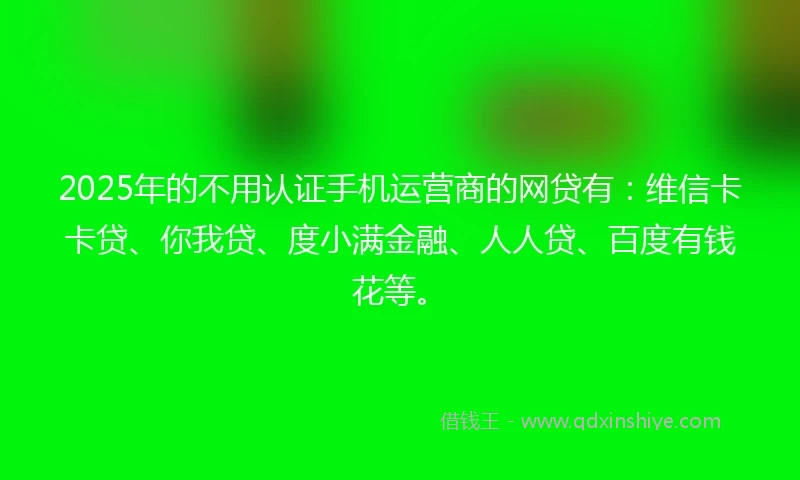 2025年的不用认证手机运营商的网贷有：维信卡卡贷、你我贷、度小满金融、人人贷、百度有钱花等。