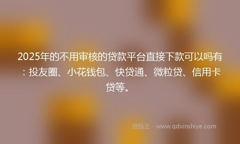 2025年的不用审核的贷款平台直接下款可以吗有：投友圈、小花钱包、快贷通、微粒贷、信用卡贷等。