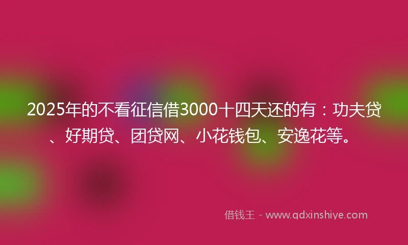 2025年的不看征信借3000十四天还的有：功夫贷、好期贷、团贷网、小花钱包、安逸花等。