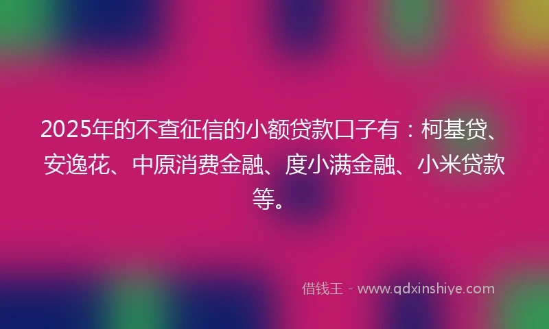 2025年的不查征信的小额贷款口子有：柯基贷、安逸花、中原消费金融、度小满金融、小米贷款等。