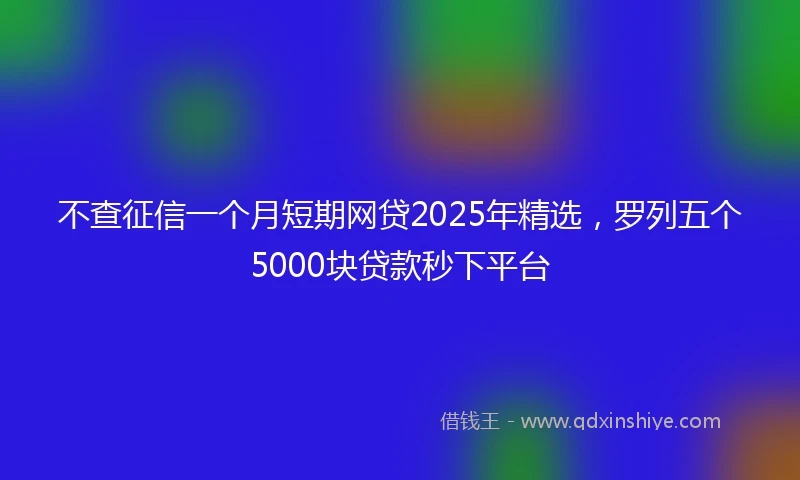 不查征信一个月短期网贷2025年精选，罗列五个5000块贷款秒下平台