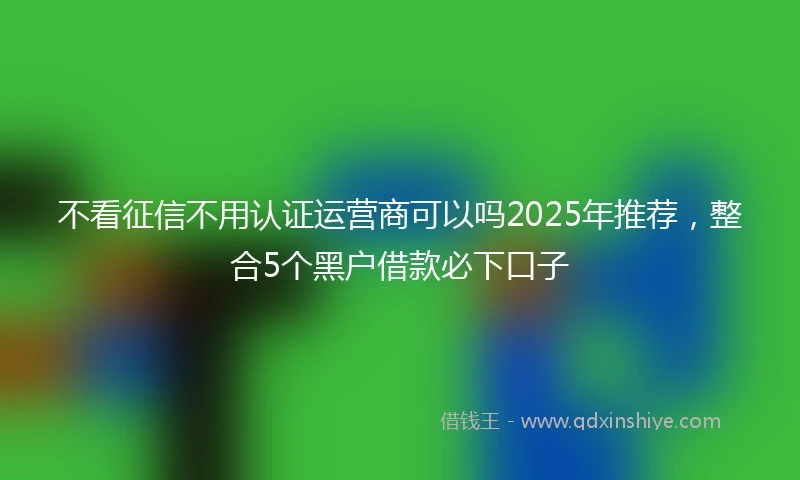 不看征信不用认证运营商可以吗2025年推荐，整合5个黑户借款必下口子