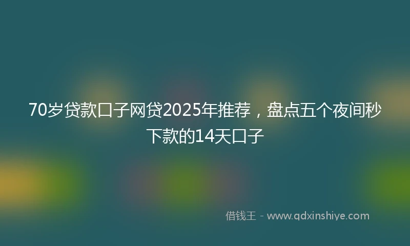 70岁贷款口子网贷2025年推荐，盘点五个夜间秒下款的14天口子