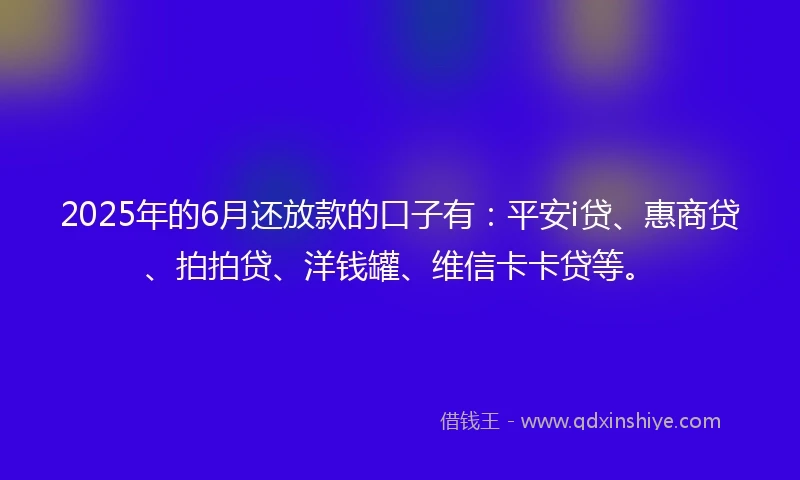 2025年的6月还放款的口子有：平安i贷、惠商贷、拍拍贷、洋钱罐、维信卡卡贷等。