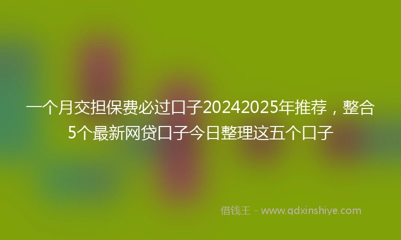 一个月交担保费必过口子20242025年推荐，整合5个最新网贷口子今日整理这五个口子