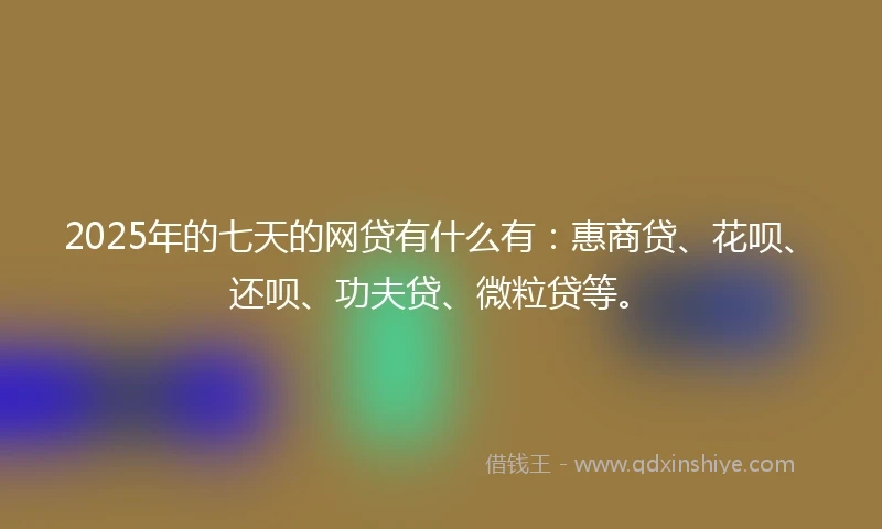 2025年的七天的网贷有什么有：惠商贷、花呗、还呗、功夫贷、微粒贷等。