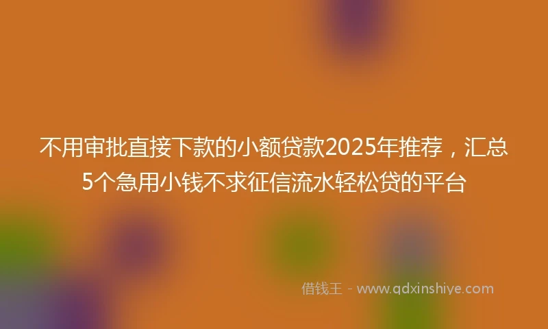 不用审批直接下款的小额贷款2025年推荐，汇总5个急用小钱不求征信流水轻松贷的平台