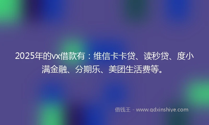 2025年的vx借款有：维信卡卡贷、读秒贷、度小满金融、分期乐、美团生活费等。