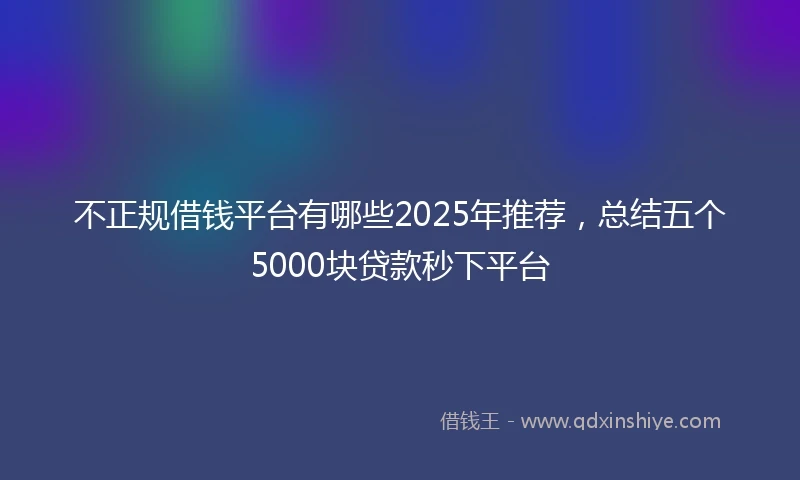 不正规借钱平台有哪些2025年推荐，总结五个5000块贷款秒下平台