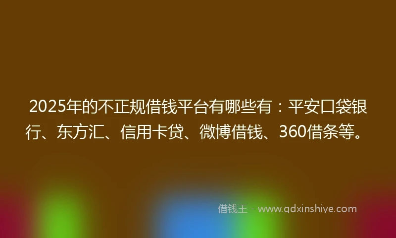 2025年的不正规借钱平台有哪些有：平安口袋银行、东方汇、信用卡贷、微博借钱、360借条等。