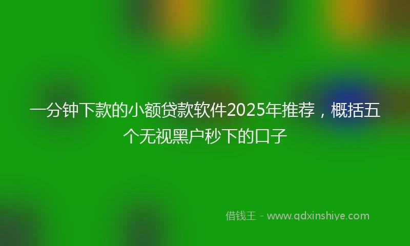 一分钟下款的小额贷款软件2025年推荐，概括五个无视黑户秒下的口子