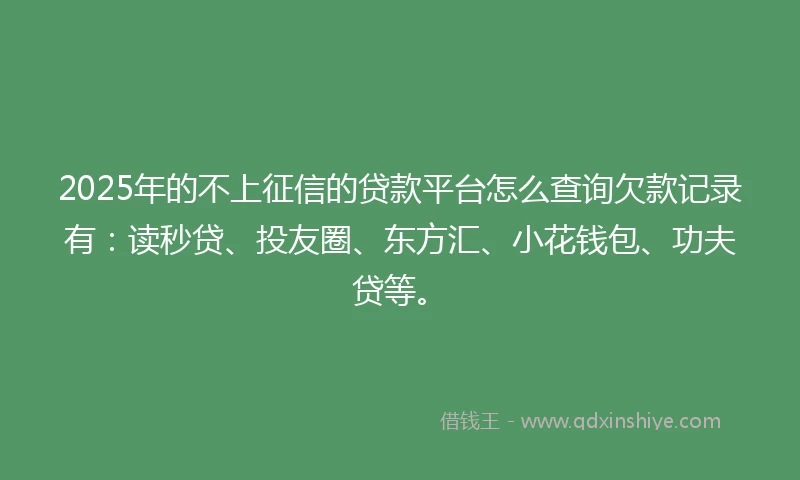 2025年的不上征信的贷款平台怎么查询欠款记录有：读秒贷、投友圈、东方汇、小花钱包、功夫贷等。