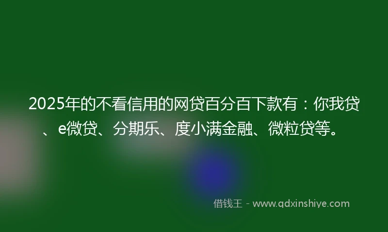 2025年的不看信用的网贷百分百下款有：你我贷、e微贷、分期乐、度小满金融、微粒贷等。