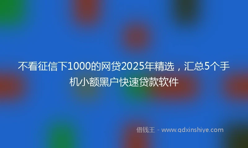不看征信下1000的网贷2025年精选，汇总5个手机小额黑户快速贷款软件