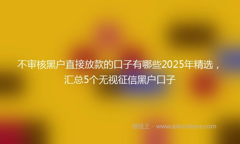 不审核黑户直接放款的口子有哪些2025年精选，汇总5个无视征信黑户口子