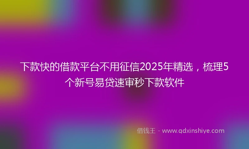 下款快的借款平台不用征信2025年精选，梳理5个新号易贷速审秒下款软件