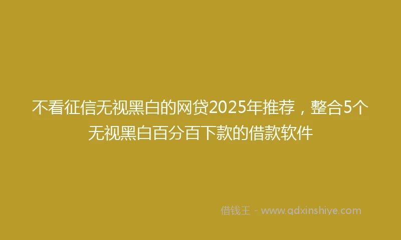 不看征信无视黑白的网贷2025年推荐，整合5个无视黑白百分百下款的借款软件