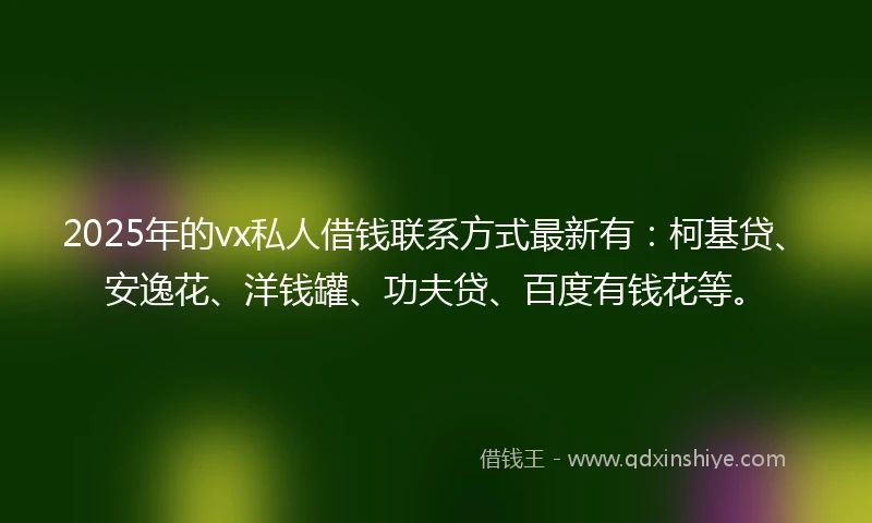 2025年的vx私人借钱联系方式最新有：柯基贷、安逸花、洋钱罐、功夫贷、百度有钱花等。