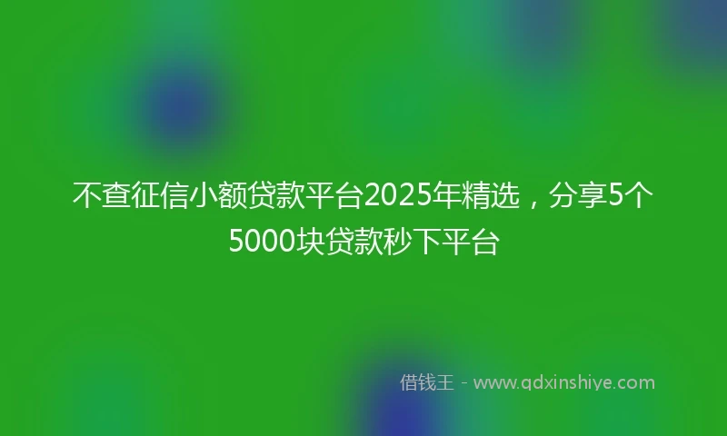 不查征信小额贷款平台2025年精选，分享5个5000块贷款秒下平台
