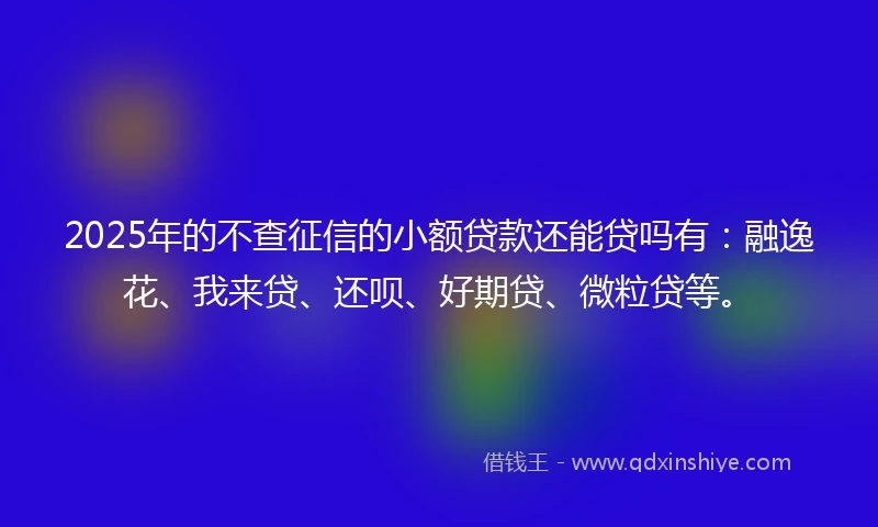 2025年的不查征信的小额贷款还能贷吗有：融逸花、我来贷、还呗、好期贷、微粒贷等。