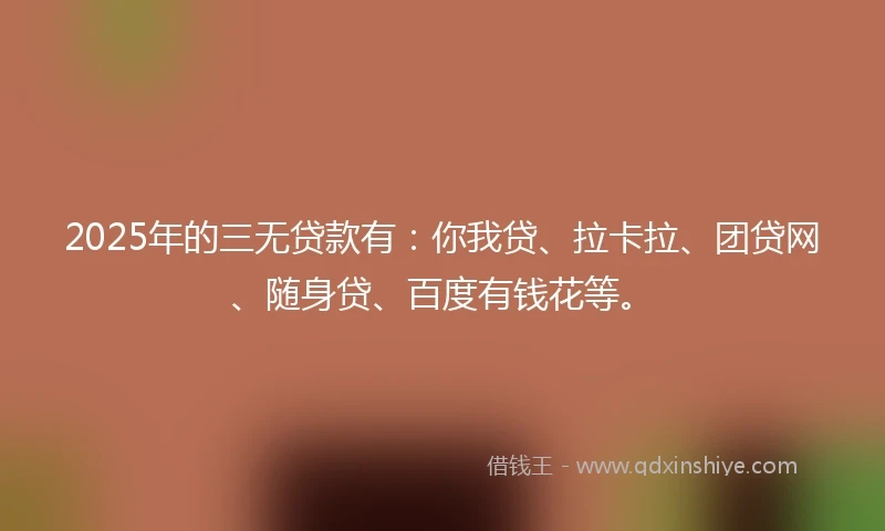2025年的三无贷款有：你我贷、拉卡拉、团贷网、随身贷、百度有钱花等。