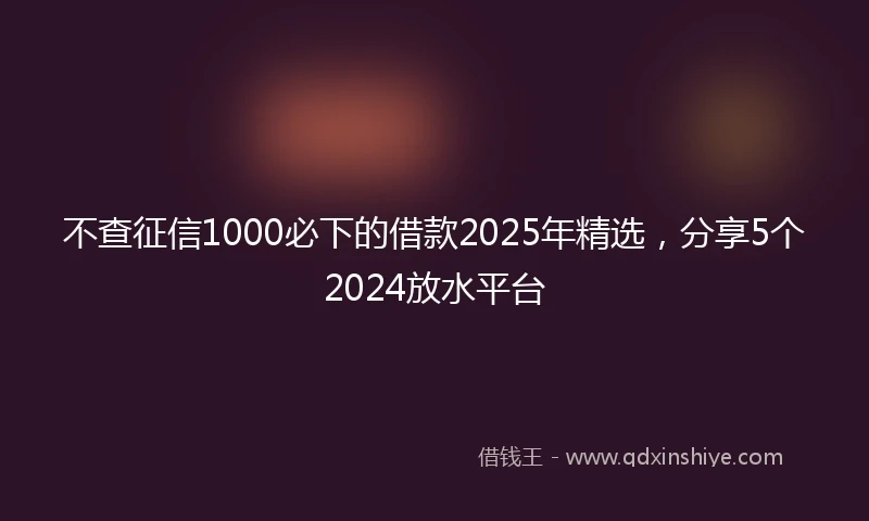 不查征信1000必下的借款2025年精选，分享5个2024放水平台
