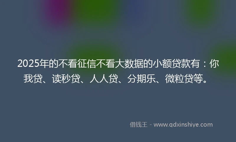 2025年的不看征信不看大数据的小额贷款有：你我贷、读秒贷、人人贷、分期乐、微粒贷等。