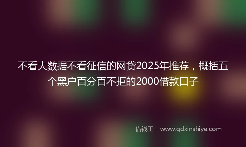 不看大数据不看征信的网贷2025年推荐，概括五个黑户百分百不拒的2000借款口子