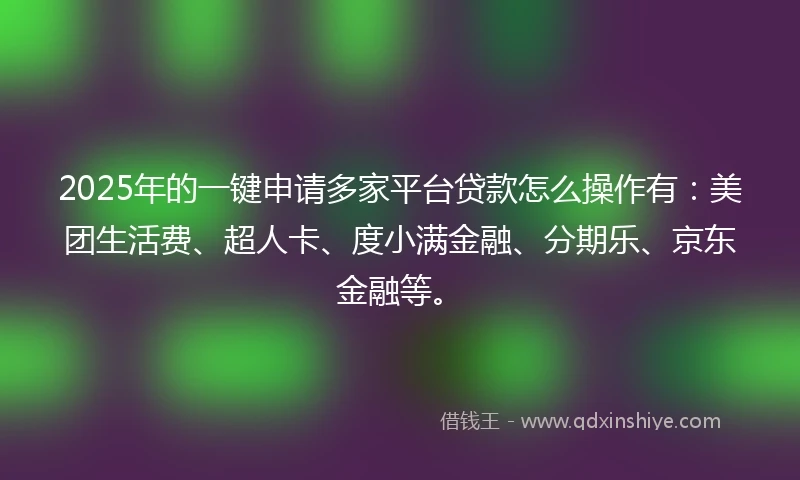 2025年的一键申请多家平台贷款怎么操作有：美团生活费、超人卡、度小满金融、分期乐、京东金融等。