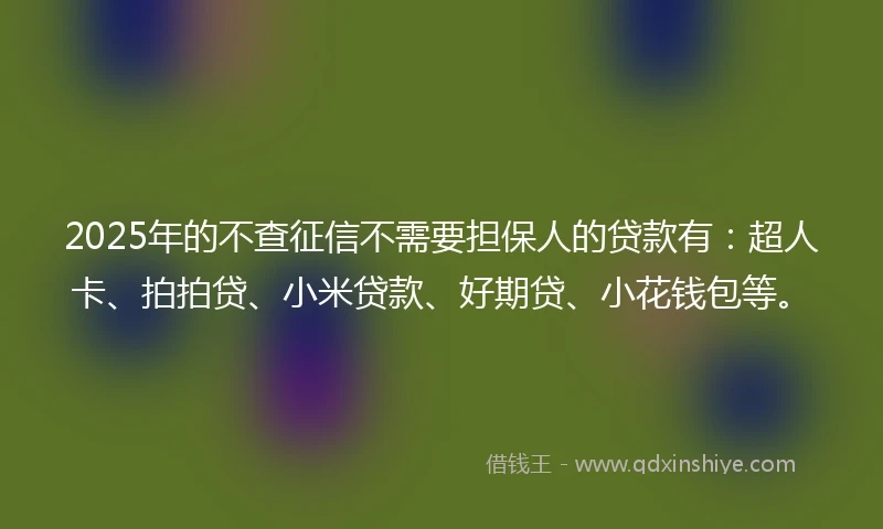 2025年的不查征信不需要担保人的贷款有：超人卡、拍拍贷、小米贷款、好期贷、小花钱包等。