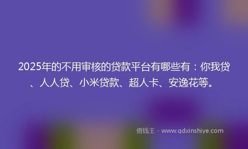 2025年的不用审核的贷款平台有哪些有：你我贷、人人贷、小米贷款、超人卡、安逸花等。
