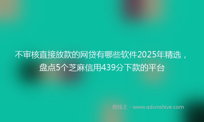不审核直接放款的网贷有哪些软件2025年精选，盘点5个芝麻信用439分下款的平台