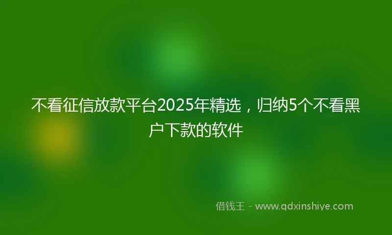 不看征信放款平台2025年精选，归纳5个不看黑户下款的软件